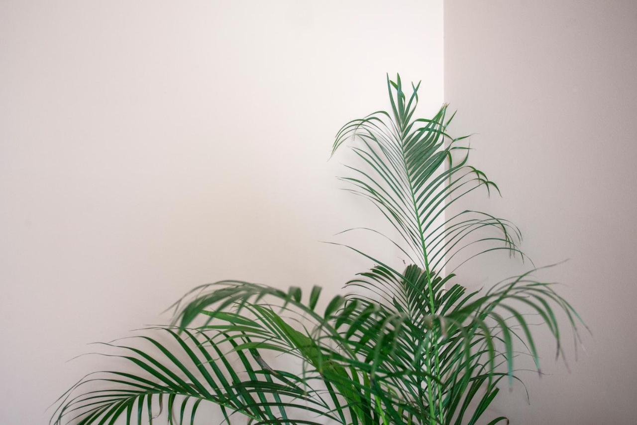 Apartamento Santos Graca Póvoa de Varzim Exteriér fotografie